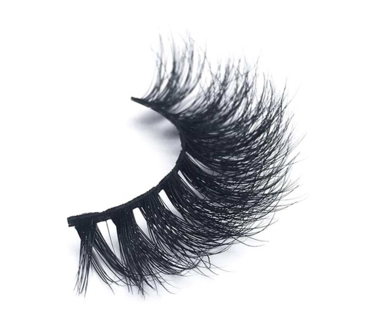 Lash 5B
