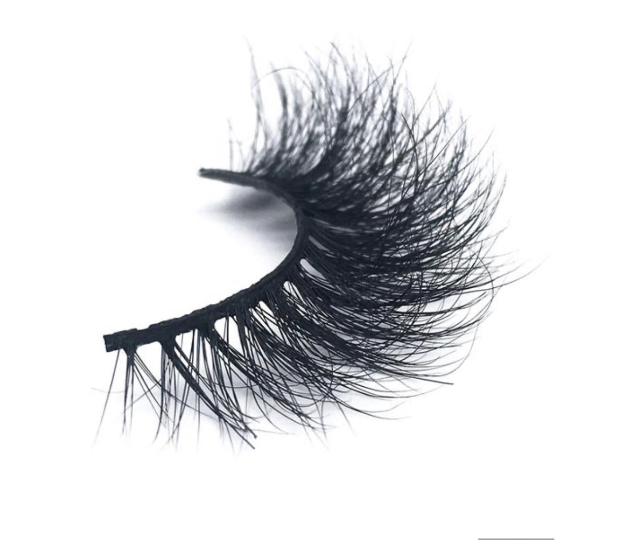 Lash 7B